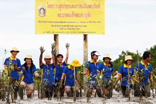 วิริยะประกันภัย ร่วมปลูกป่าชายเลนเฉลิมพระเกียรติฯ